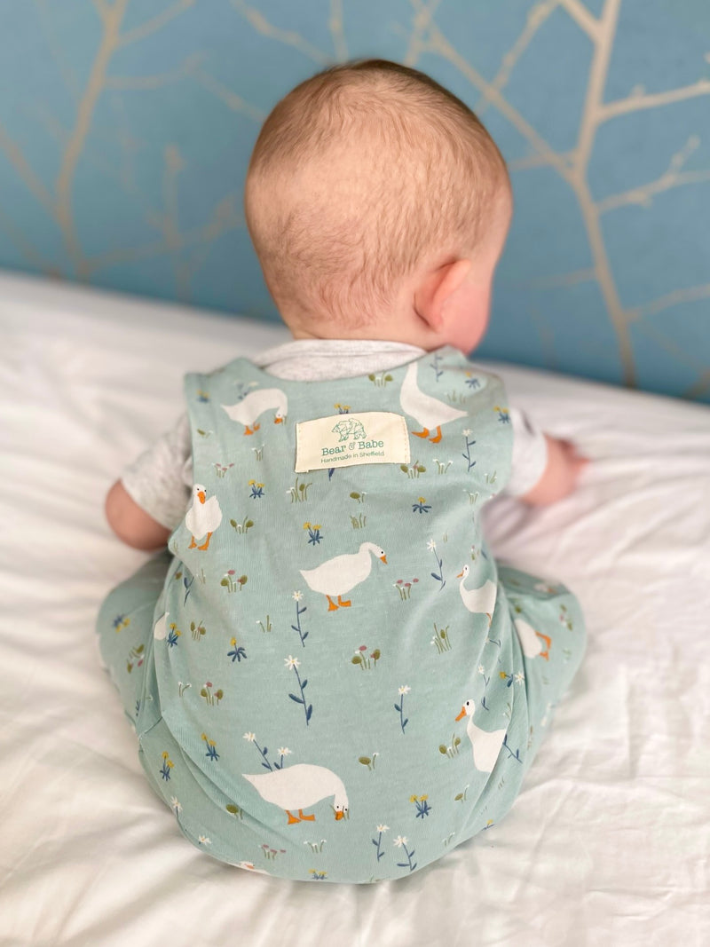 Blue Goose Baby and Children's Romper