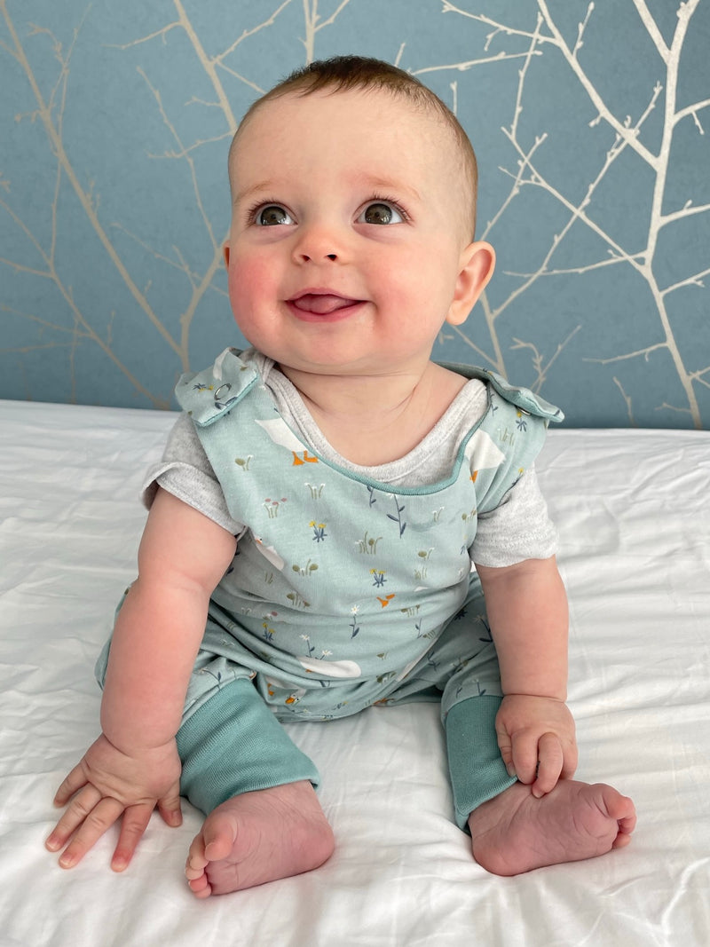 Blue Goose Baby and Children's Romper