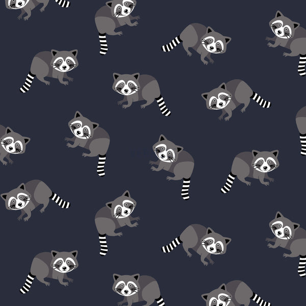 Navy Raccoons Baby and Children's Long Sleeved Tee