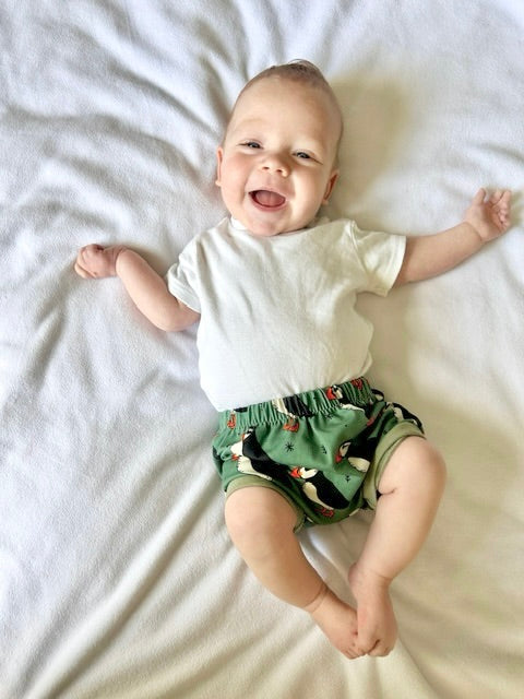 Green Puffins Baby and Toddler Bummies
