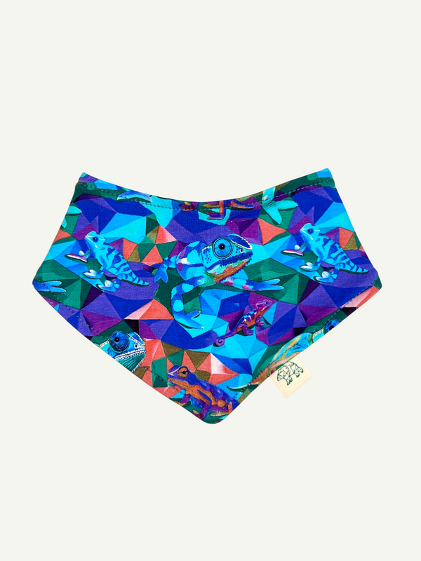 Geo Chameleons Baby and Children's Bib