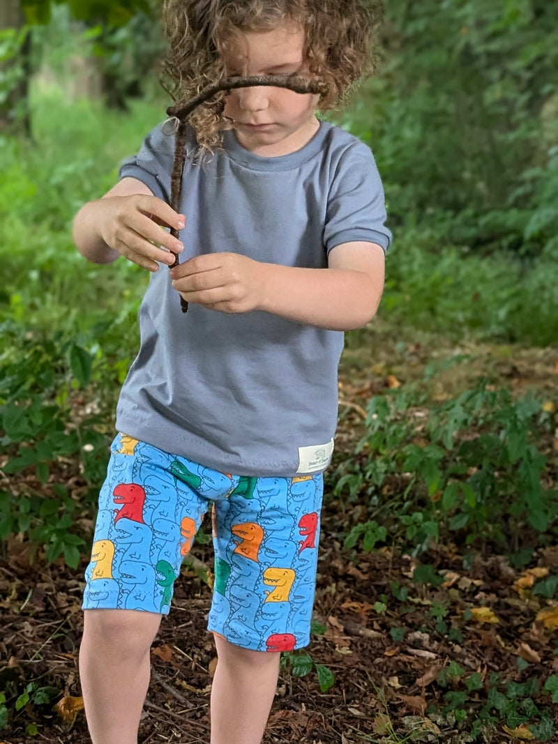 Blue T-Rex Baby and Children's Shorts