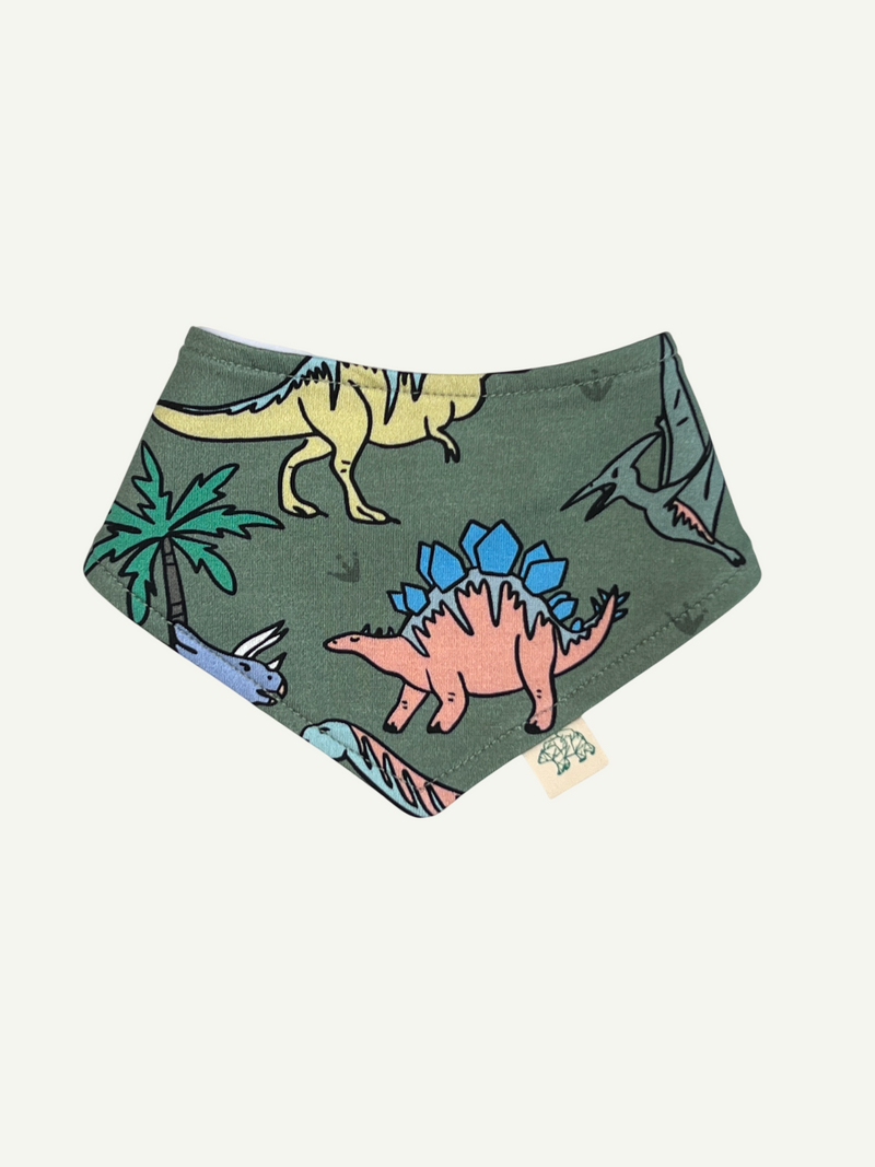 Green Dinosaurs Baby and Children's Bib