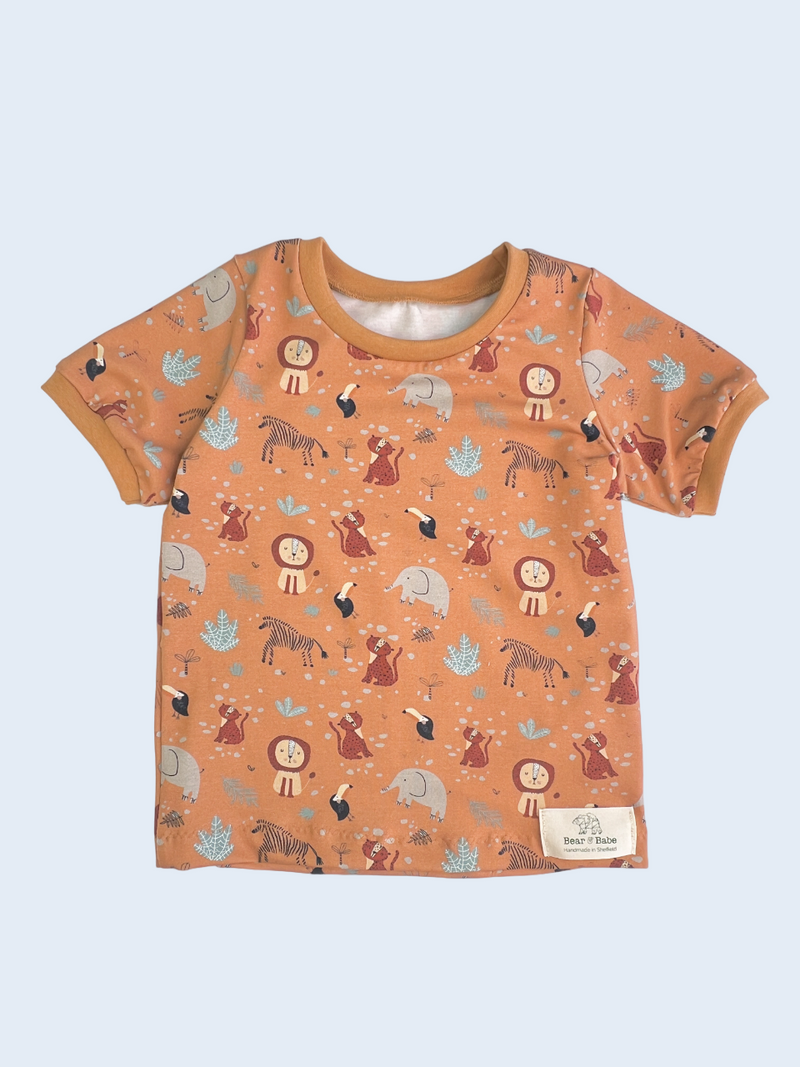 2-3 Years Outlet