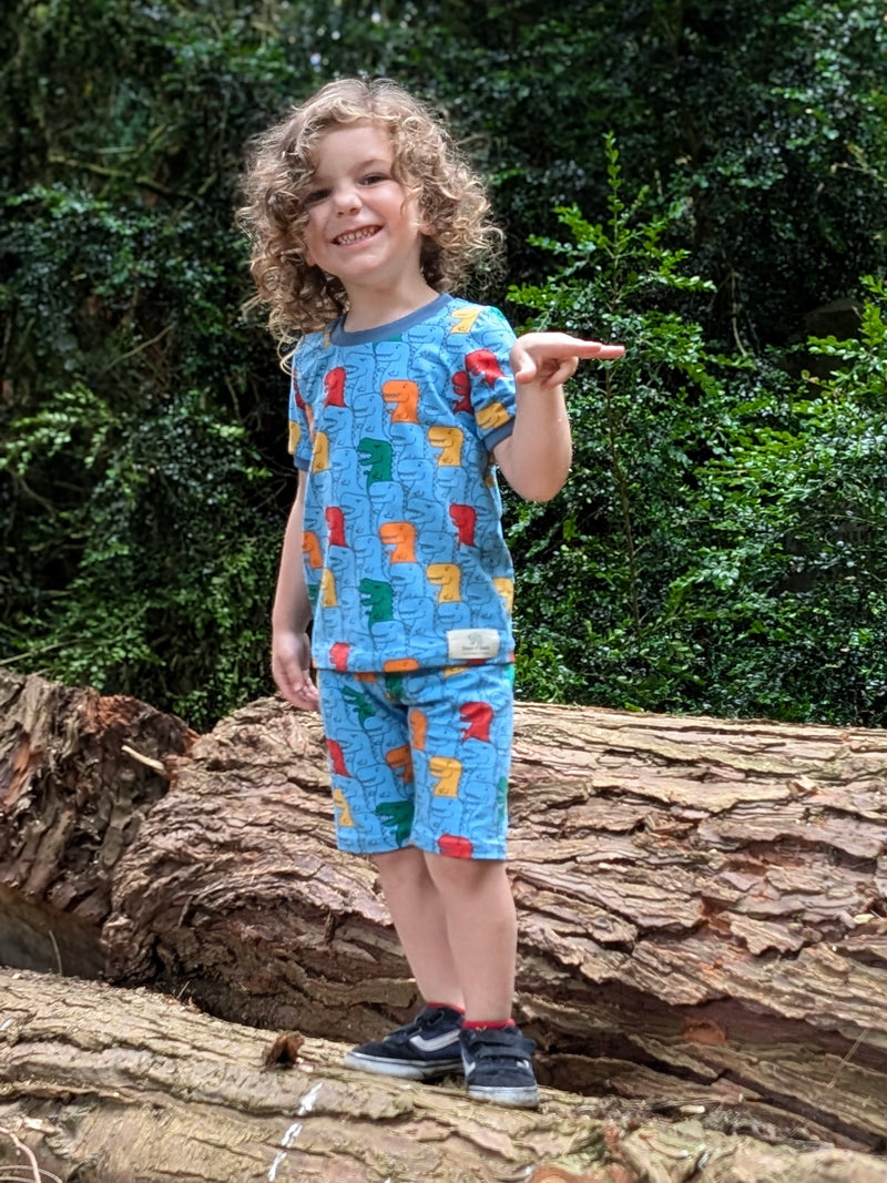 Blue T-Rex Baby and Children's Shorts