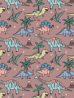 Rose Dinosaurs Baby and Children's Zip Sleepsuit