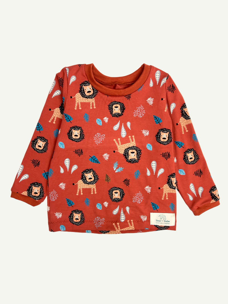 2-3 Years Baby and Children's Long Sleeved Tee, Variety of Prints (Ready to Ship)