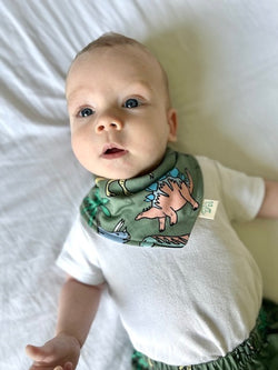 Green Dinosaurs Baby and Children's Bib