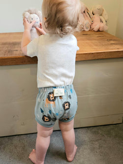 Mint Lions Baby and Toddler Bummies