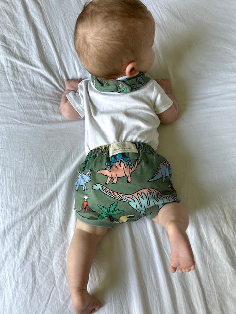 Green Dinosaurs Baby and Toddler Bummies