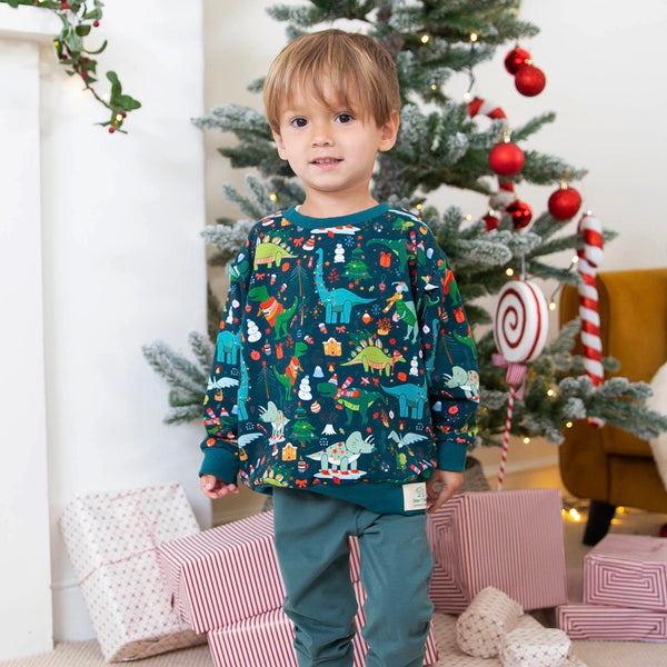 Christmas Dinosaurs Baby and Children's Sweater