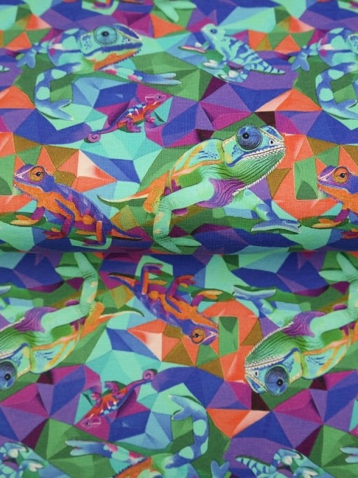 Geo Chameleons Newborn Baby Set