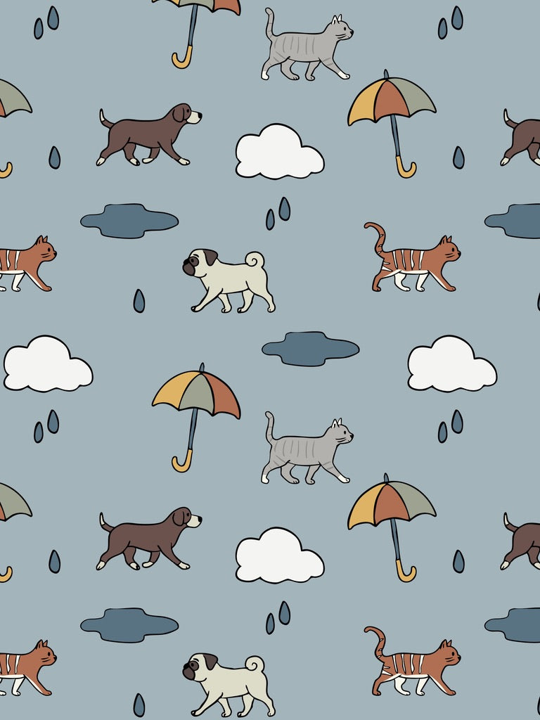 Blue Raining Cats & Dogs Baby and Children's Sweater