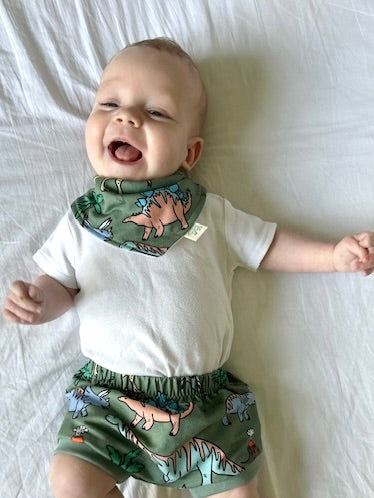 Green Dinosaurs Baby and Children's Bib