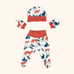 Fox & Rabbit Newborn Baby Set
